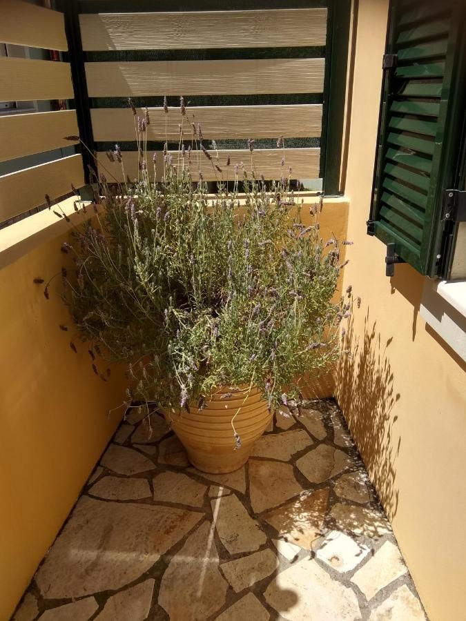 Eirini'S House Liapades公寓 外观 照片